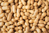 Organic Raw Peanuts (In Shell)