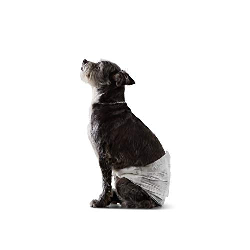 Amazon Basics Male Dog Wrap, Disposable Diapers, Small, Pack of 30, White