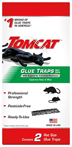 Tomcat Glue Traps Mouse Size with Eugenol for Enhanced Stickiness for Mice, Cockroaches, and Spiders, 6 Traps