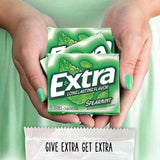 Extra Spearmint Sugar Free Chewing Gum Bulk Pack (15 ct., 10 pk.)