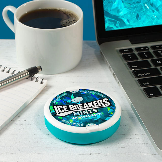 ICE BREAKERS Wintergreen Sugar Free Breath Mints (8 ct.)