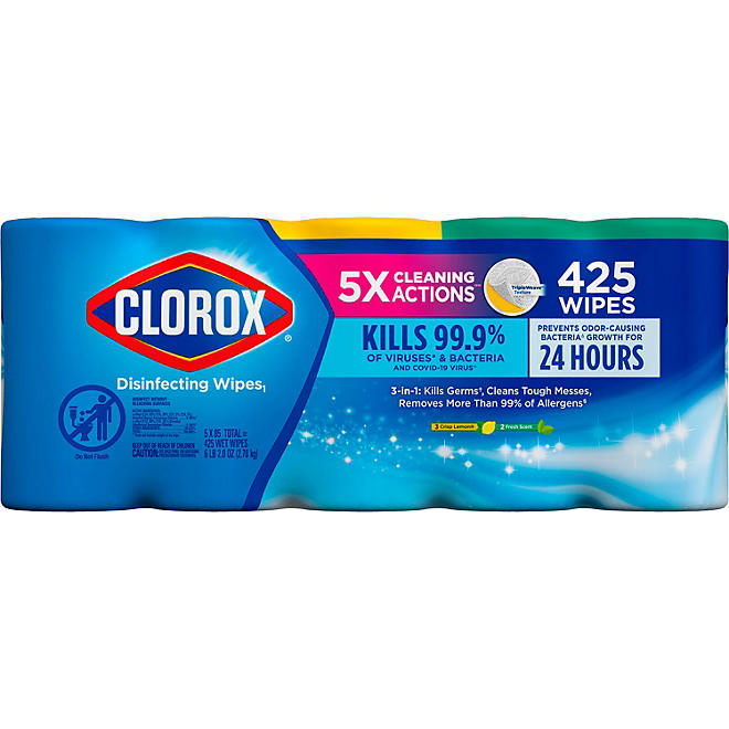 Clorox Disinfecting Bleach-Free Cleaning Wipes, Variety Pack (85 wipes/pk., 5 pk.)