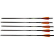 BARNETT Outdoors Carbon Crossbow Arrows 5-Pack, Lightweight Hunting Bolts with Half-Moon Nock and Field Points, 20