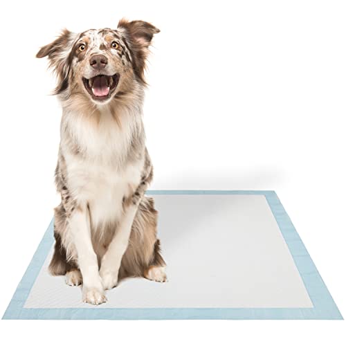 Best Pet Supplies, XL (36" x 27.5") Disposable Puppy Pads for Whelping Puppies and Training Dogs, 100 Pack - Ultra Absorbent, Leak Resistant, and Track Free for Indoor Pets - Baby Blue