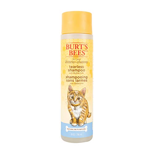 Burts Bees for Kittens Natural Tearless Shampoo with Buttermilk, 10 Oz - Cat Grooming And Bath Supplies, Kitty Shampoo, Pet Shampoo