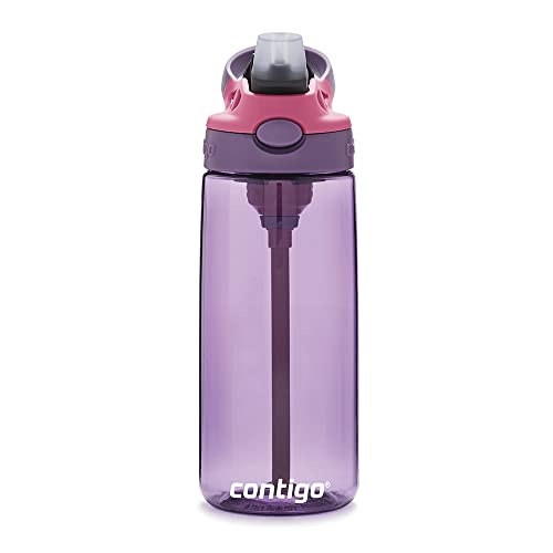 Contigo Aubrey Kids Cleanable Water Bottle with Silicone Straw and Spill-Proof Lid, Dishwasher Safe, 20oz, Blueberry/Green Apple