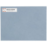 Avery Printable Return Address Labels with Sure Feed, 0.5 x 1.75, White, 800 Blank Mailing Labels (18167)