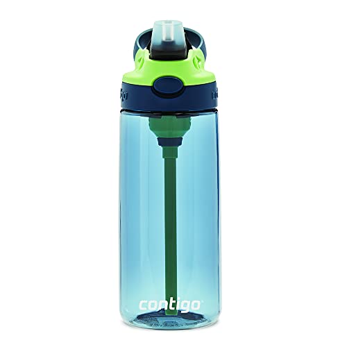 Contigo Aubrey Kids Cleanable Water Bottle with Silicone Straw and Spill-Proof Lid, Dishwasher Safe, 20oz, Blueberry/Green Apple