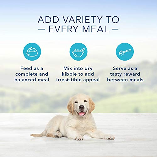 Blue Buffalo Homestyle Recipe Natural Puppy Wet Dog Food, Chicken 12.5-oz can (Pack of 12)