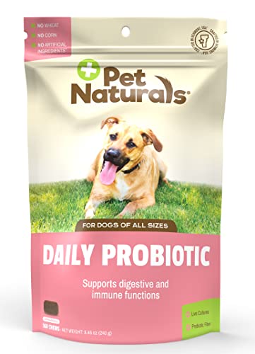 Pet Naturals Daily Probiotic, Digestive Support for Dogs, Duck Flavor, 60 Chews