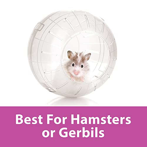 Kaytee 7 Clear Run-About Exercise Ball For Pet Hamsters & Gerbils