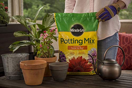 Miracle-Gro Potting Mix 2 pack