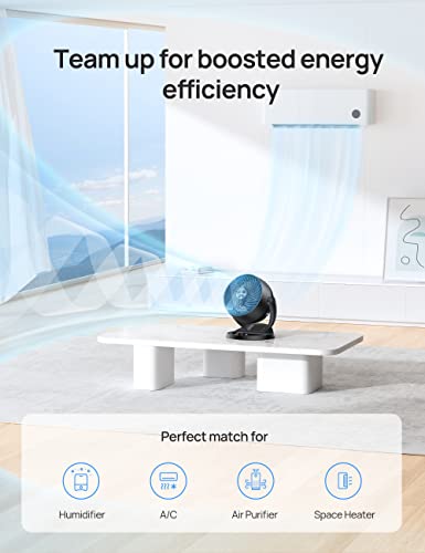 Dreo Fans for Home Bedroom, Table Air Circulator Fan for Whole Room, 9 Inch, 70ft Strong Airflow, 120° adjustable tilt, 28db Low Noise, Quiet, 3 Speeds, 2023 New Desk Fan for Office, Kitchen, Home