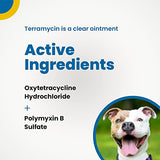 Terramycin Antibiotic Ointment for Eye Infection Treatment in Dogs, Cats, Cattle, Horses, and Sheep, 0.125oz Tube