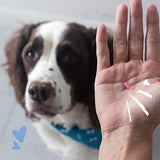 PetArmor Antihistamine Allergy Relief for Dogs, 100 Tablets