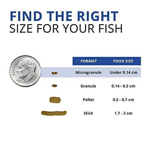 Fluval Bug Bites Betta Fish Food, Granules for Small to Medium Sized Fish, 1.06 oz.