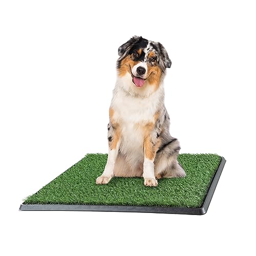 Artificial Grass Puppy Pee Pad for Dogs and Small Pets - 20x25 Reusable 3-Layer Training Potty Pad with Tray- Dog Litter Boxes - Dog Housebreaking Supplies by PETMAKER