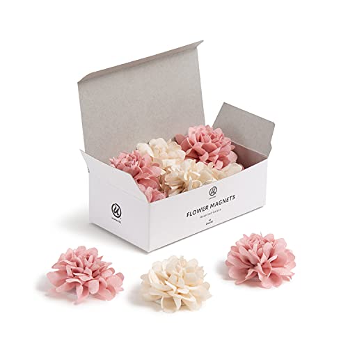 U Brands Mini Flower Magnets Set, Office Supplies, Pink and Cream, 12 Count