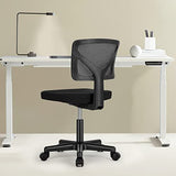 Sweetcrispy Grey Desk, Armless, Computer Home Office Low-Back Mesh Task Swivel Rolling Chair No Arms for Small Space with Lumbar Support