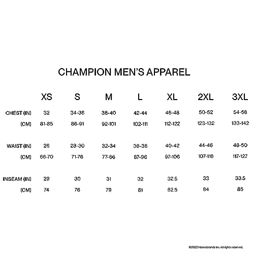 Champion Mens Hoodie, Powerblend, Fleece Striped Sweatshirt for Men (Reg. or Big & Tall)