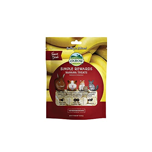 Oxbow Simple Rewards Freeze Dried Banana Treats for Rabbits, Guinea Pigs, Chinchillas, and Small Pets