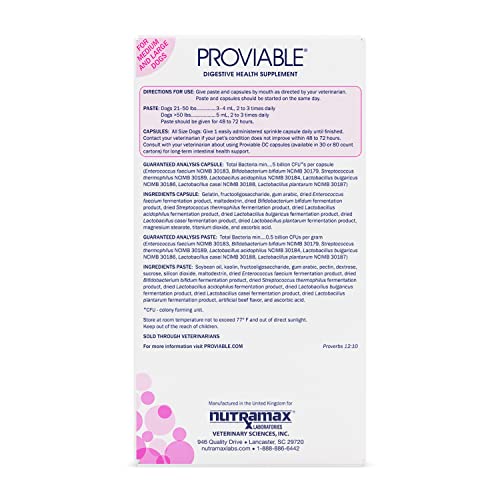 Nutramax Proviable Digestive Health Supplement Kit with Multi-Strain Probiotics and Prebiotics for Medium to Large Dogs - with 7 Strains of Bacteria, 30 mL Paste and 10 Capsules