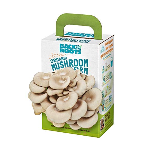 Back to the Roots Organic Oyster Mushroom Grow Kit, Harvest Gourmet Mushrooms In 10 Days