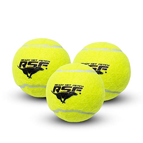 Franklin Pet Supply Squeaky - Ready Set Fetch Dog Toy Tennis Balls with Squeaker - Perfect Pet Toy for Small, Medium + Large Dogs - 3 Pack