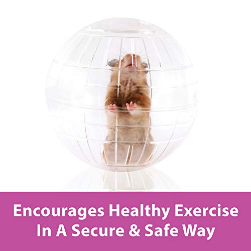 Kaytee 7 Clear Run-About Exercise Ball For Pet Hamsters & Gerbils