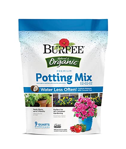 Burpee Organic Horticultural Add to Potting Soil | Ideal for Seed Starting, Water Retention and Plant Propagation | 100% Natural | 8 Quart, 1-Pack, Vermiculite (8qt)