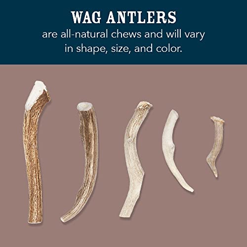 Amazon Brand – Wag Split Elk Antler, Naturally Shed, Medium (Best for Dogs 15-30 lbs)