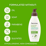 Aveeno Clear Complexion Foaming Oil-Free Facial Cleanser with Salicylic Acid Acne Medication for Breakout-Prone Skin & Soy Extracts, Hypoallergenic & Non-Comedogenic, 6 fl. oz, Pack of 3