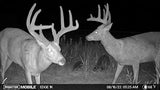 Moultrie Mobile Edge Cellular Trail Camera 2 Pack | Auto Connect - Nationwide Coverage | HD Video-Audio | Built in Memory | Cloud Storage | 80 ft Low Glow IR LED Flash