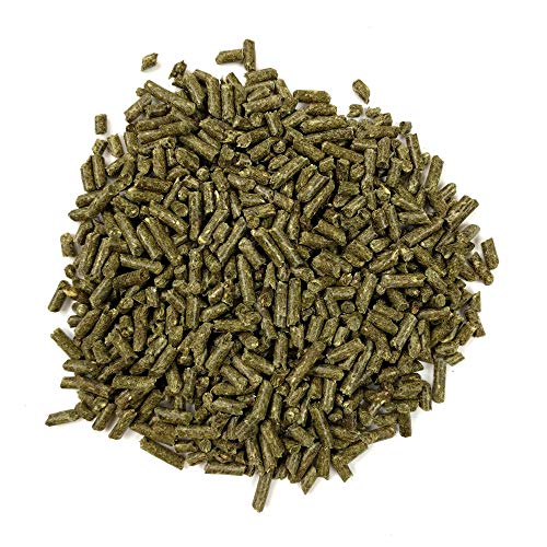 Oxbow Essentials Adult Guinea Pig Food - All Natural Adult Guinea Pig Pellets- Veterinarian Recommended- No Artificial Ingredients- All Natural Vitamins & Minerals- Made in the USA - 5 lb.