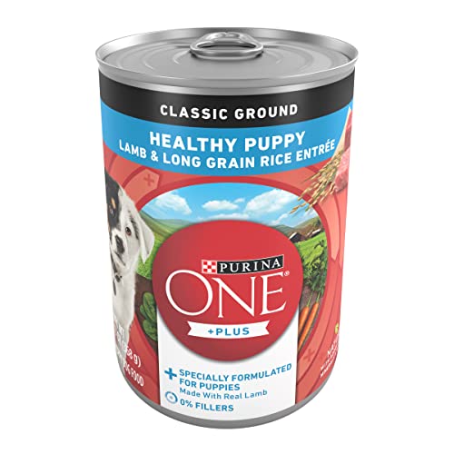 Purina ONE Plus Wet Puppy Food Classic Ground Healthy Puppy Lamb and Long Grain Rice Entree - (12) 13 oz. Cans