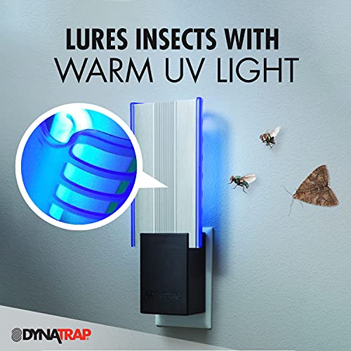 DynaTrap DT3009W-1003P Flylight Indoor Plug-In Fly Trap for Flies, Fruit Flies, Moths, Gnats, & Other Flying Insects – Protects up to 600 Sq Ft