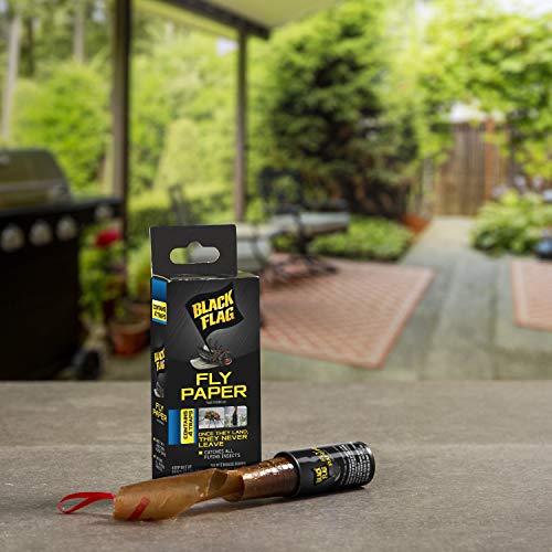 Black Flag Fly Paper, Insect Trap, Catches All Flying Insects 4 Traps