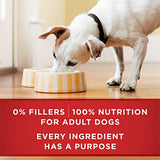 Purina ONE Tender Cuts in Wet Dog Food Gravy Chicken and Brown Rice Entree - (12) 13 Oz. Cans