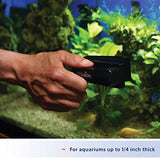 Aqueon Aquarium Algae Cleaning Magnets Glass/Acrylic, Small, Black