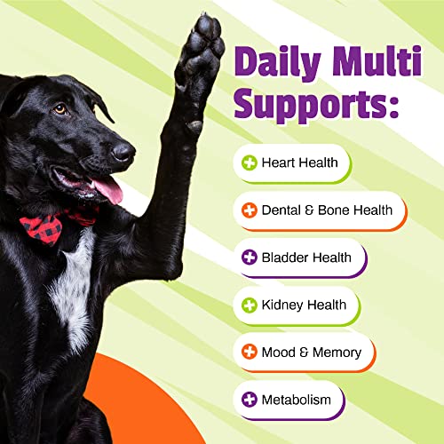 Pet Naturals Daily Multivitamin for Dogs, Veggie Flavor, 150 Chews - Yummy Chews with Amino Acids, and Antioxidants - Supports Energy, Metabolic Function and Pet Wellness