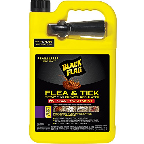 Black Flag 11093 B00PVN1ST8 Extreme Flea Killer Plus Growth Regulator RTU for Insects, 1-gal, 128 Oz