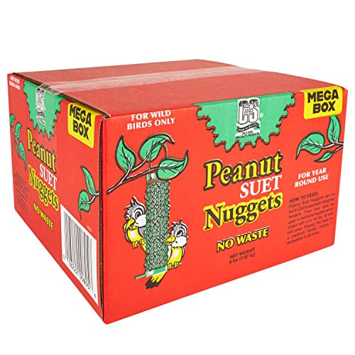 C&S Wild Bird Peanut Suet Nuggets Mega Box, 8 Pounds