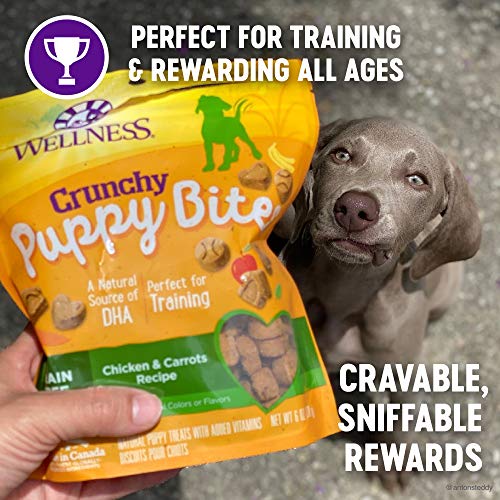 Wellness Crunchy Puppy Bites Natural Grain-Free Treats for Training, Dog Treats with Real Meat and DHA, No Artificial Flavors (Crunchy Chicken & Carrots, 6-Ounce Bag)