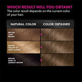 Garnier Hair Color Olia Ammonia-Free Brilliant Color Oil-Rich Permanent Hair Dye, 3.0 Darkest Brown, 2 Count (Packaging May Vary)