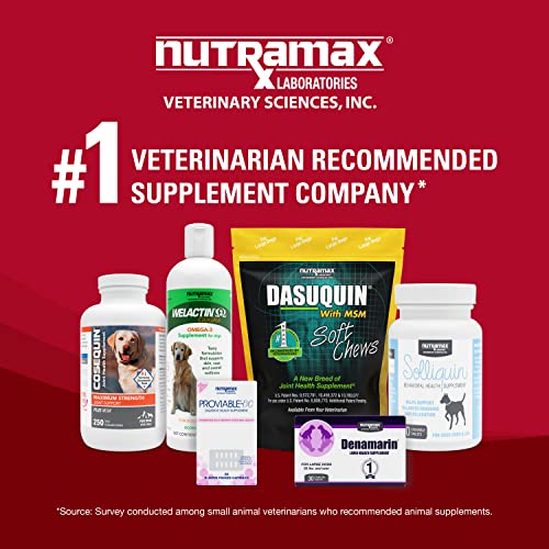 Nutramax Crananidin Cranberry Extract Urinary Tract Health Supplement for Dogs, 75 Chewable Tablets