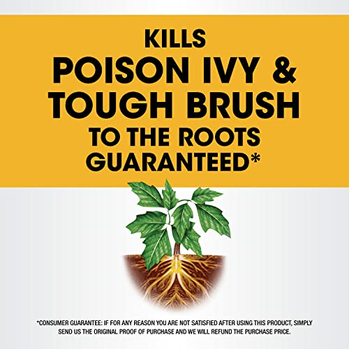Roundup Concentrate Poison Ivy Killer Plus Tough Brush Killer for Weeds, Grass, Stumps with 24 hours Results, 32 oz.
