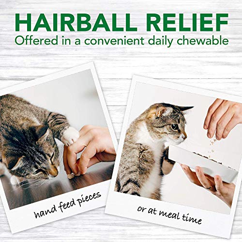 Vet’s Best Cat Hairball Relief Digestive Aid – Vet Formulated Hairball Support Remedy – Classic Chicken Flavor – 180 Chewable Tablets
