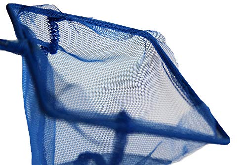 PENN-PLAX Quick-Net Aquarium Fish Net – Durable, Strong, and Safe – Color May Vary (Blue, Red, or Green) – 4” x 3” Net – 10” Handle