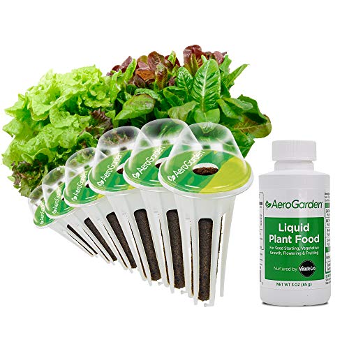 Aerogarden Salad Greens Seed Pod Kit with Red and Green Leaf, Romaine and Butter Head Lettuce, Liquid Plant Food and Growing Guide (6-Pod)