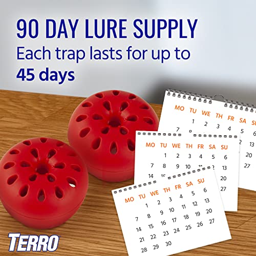 TERRO T2503SR Ready-to-Use Indoor Fruit Fly Killer and Trap with Built in Window - 4 Traps + 180 day Lure Supply